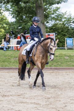 Bild 406 - Pony Akademie Turnier